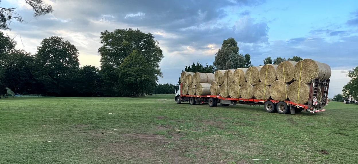 Transporte Parisi